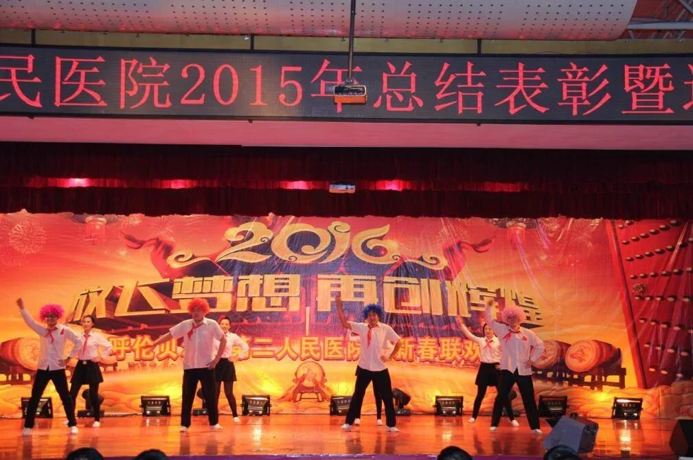 2015年总结表彰暨迎新春联欢会圆满落幕.webp