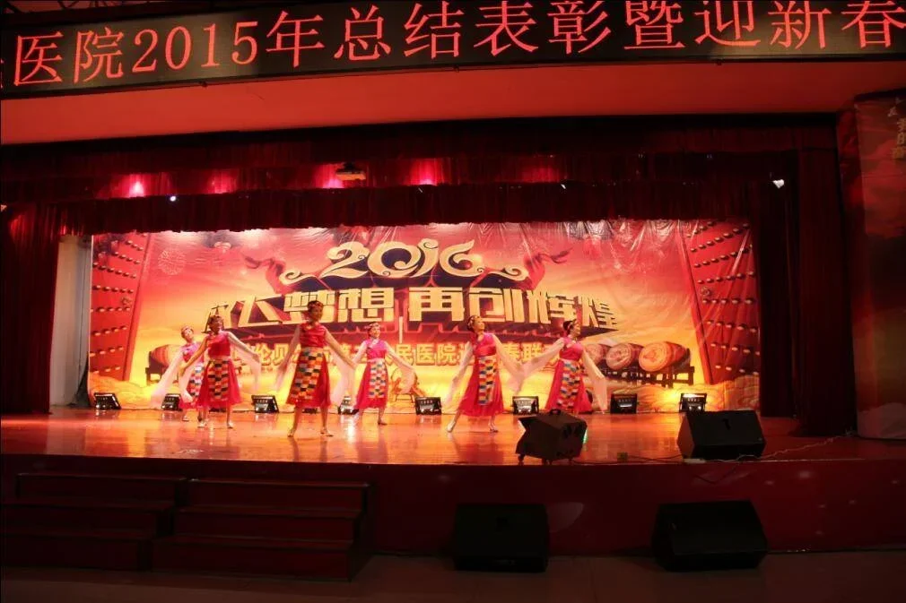 2015年总结表彰暨迎新春联欢会圆满落幕.webp