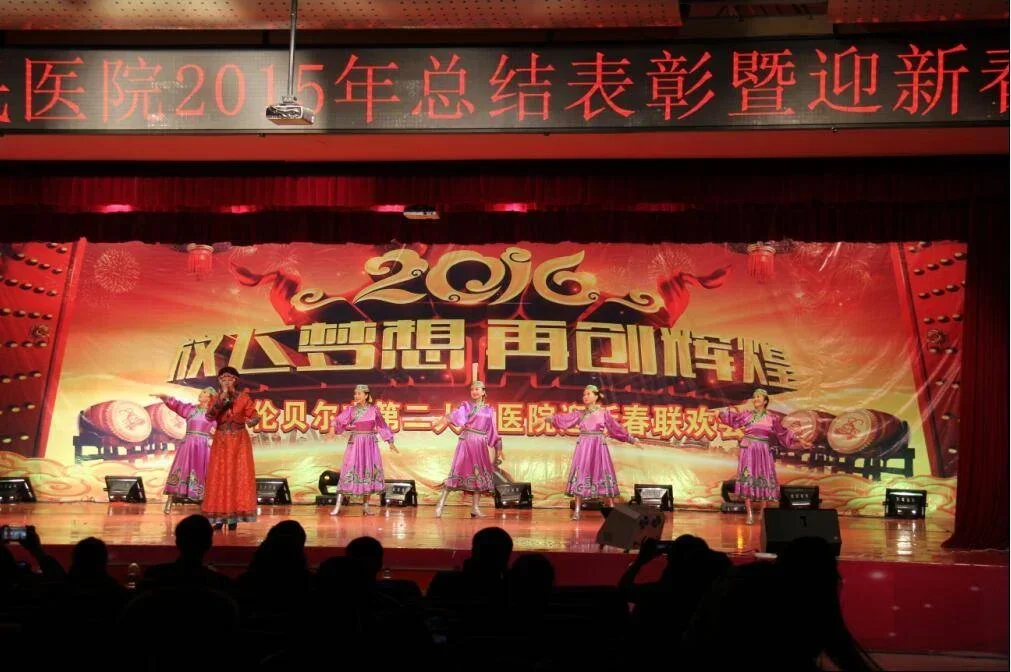 2015年总结表彰暨迎新春联欢会圆满落幕.webp