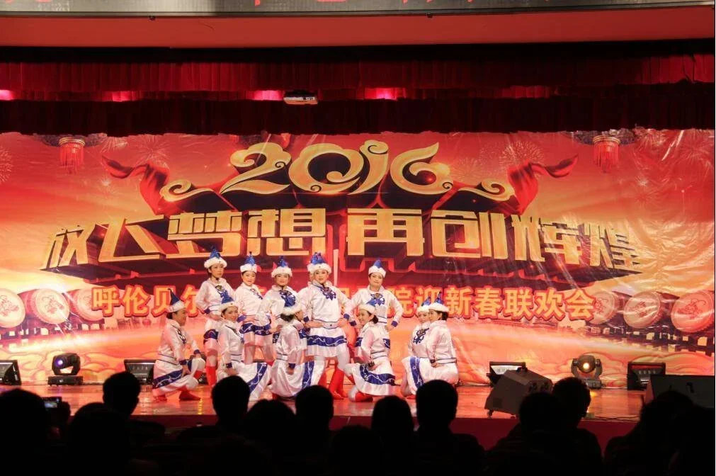 2015年总结表彰暨迎新春联欢会圆满落幕.webp