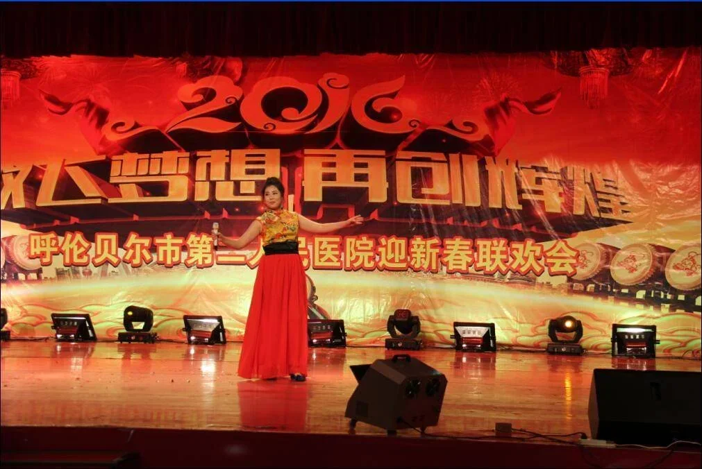 2015年总结表彰暨迎新春联欢会圆满落幕.webp